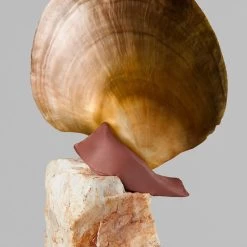 Wella Color Fresh Mask Caramel Glaze 150 Ml -Bestes Haarpflege Geschäft 12086819 2