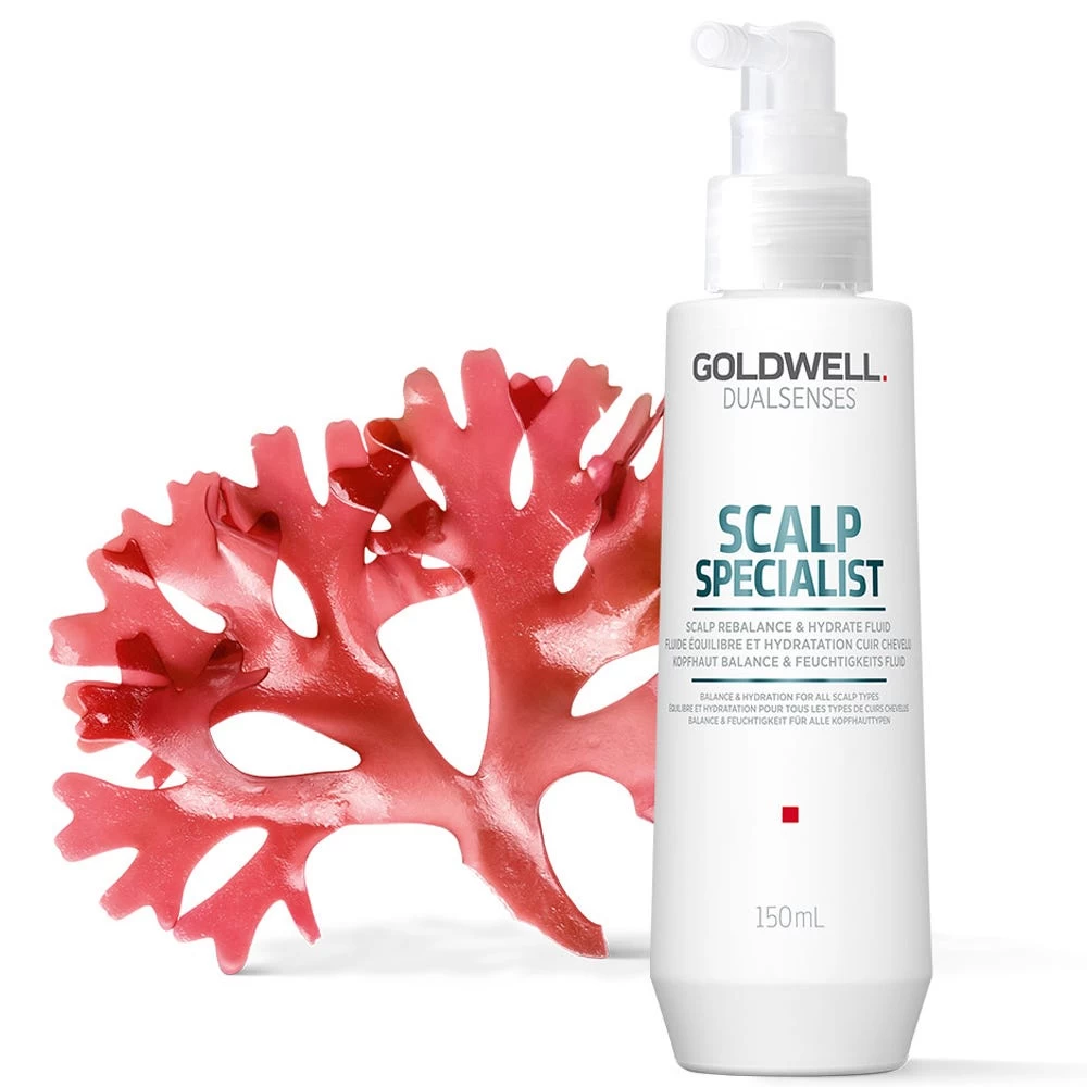 Goldwell Dualsenses Scalp Specialist Scalp Rebalance & Hydrate Fluid 150 Ml 2 Goldwell Dualsenses Scalp Specialist Scalp Rebalance & Hydrate Fluid 150 Ml – Bild 2