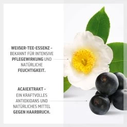 Goldwell Topchic Zero Haarfarbe 8SB Hell Silberblond 60 Ml 12 Goldwell Topchic Zero Haarfarbe 8SB Hell Silberblond 60 Ml -Bestes Haarpflege Geschäft 12113660 4 ryxrdgapvgelbbbb