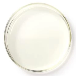 Redken Shades EQ Bonder Inside 09N Cafe Au Lait 60 Ml 7 Redken Shades EQ Bonder Inside 09N Cafe Au Lait 60 Ml -Bestes Haarpflege Geschäft 12115709 3 khhcy3ek60olscnh