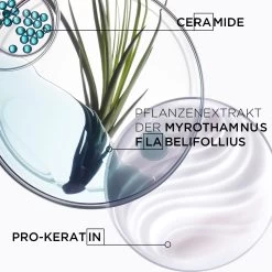 Kérastase Résistance Bain Force Architecte Bundle 2 X 500 Ml 13 Kérastase Résistance Bain Force Architecte Bundle 2 X 500 Ml -Bestes Haarpflege Geschäft 3474630539563 6 2 6bolqv6d5jt458ya