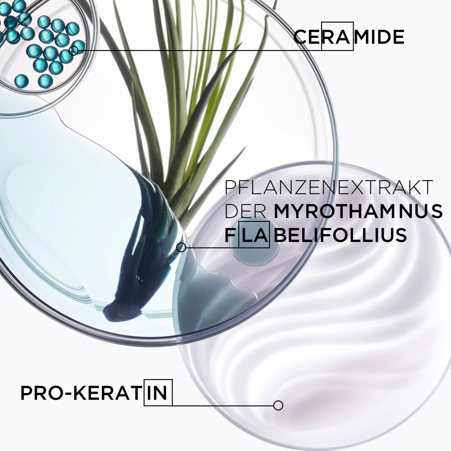 Kérastase Résistance Bain Force Architecte Bundle 2 X 500 Ml 6 Kérastase Résistance Bain Force Architecte Bundle 2 X 500 Ml – Bild 6